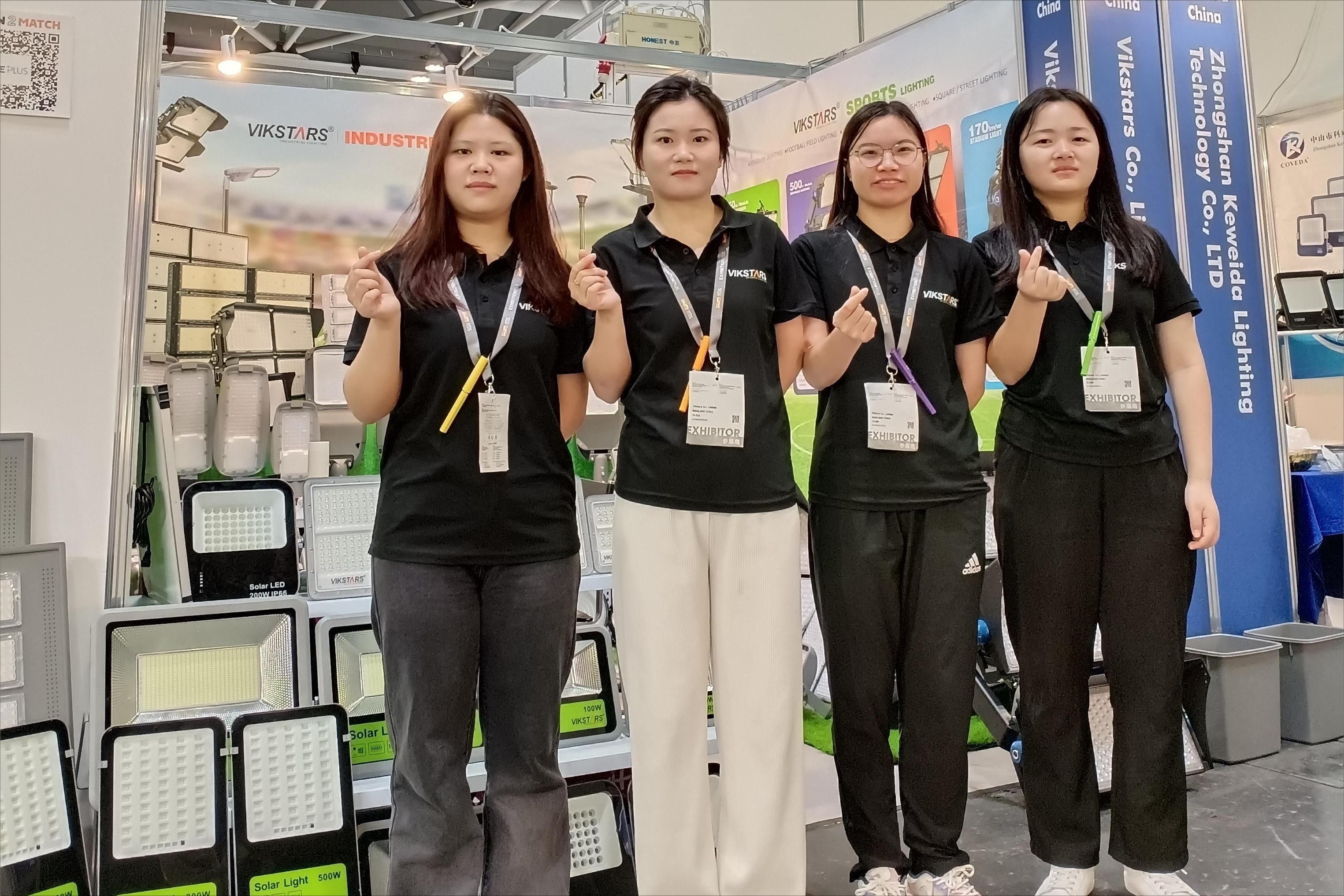 LA CHINE Vikstars Co., Limited Profil d'entreprise