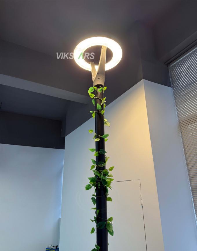 Lumières de jardin neuves de 100W 2 ans garantie 100lm/w Prix bon marché en gros 10