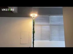 Les plus récentes lumières de jardin LED 100w 3000K 4000K 6500K