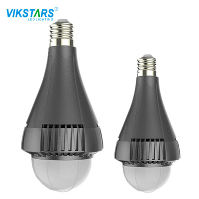 la grande ampoule 100W ronde a au loin entré la tension IP65 imperméable pour extérieur